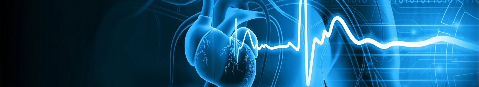 wizualizacja serca i zapisu ekg